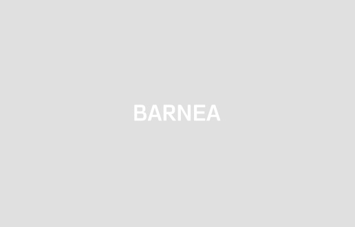 Barnea & Co. - blog post