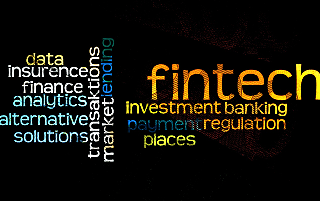 Fintech 2025 Summary